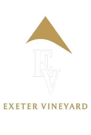 Exeter Vineyard